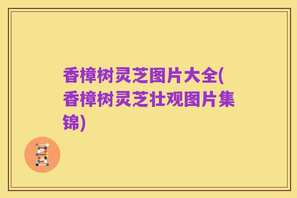 香樟树灵芝图片大全(香樟树灵芝壮观图片集锦)