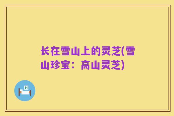 长在雪山上的灵芝(雪山珍宝:高山灵芝)