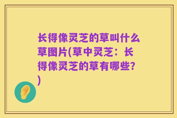 长得像灵芝的草叫什么草图片(草中灵芝:长得像灵芝的草有哪些?)