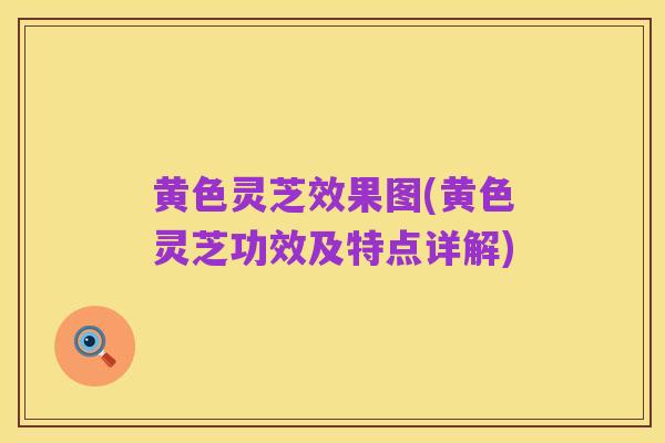 黄色灵芝效果图(黄色灵芝功效及特点详解)