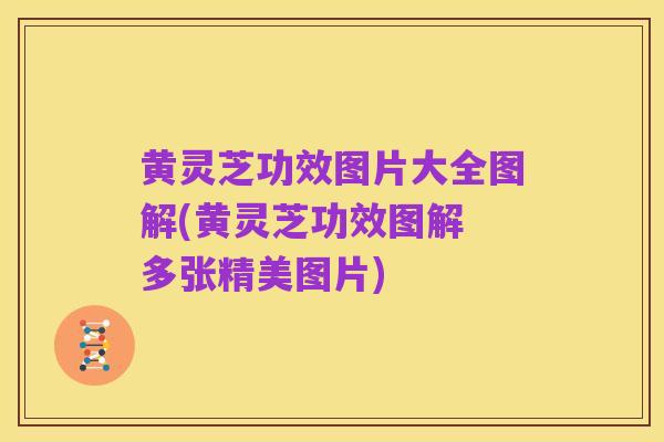 黄灵芝功效图片大全图解(黄灵芝功效图解 多张精美图片)