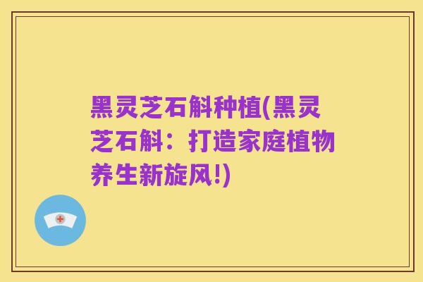 黑灵芝石斛种植(黑灵芝石斛：打造家庭植物养生新旋风!)