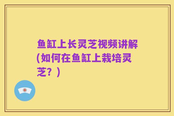 鱼缸上长灵芝视频讲解(如何在鱼缸上栽培灵芝?)