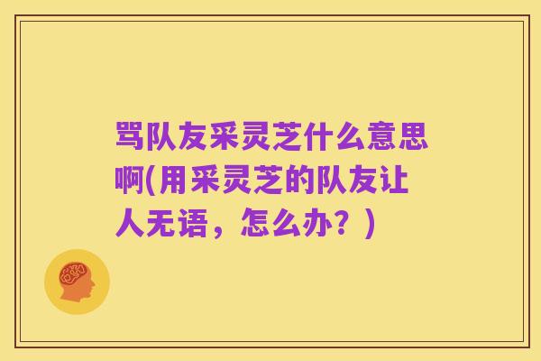 骂队友采灵芝什么意思啊(用采灵芝的队友让人无语，怎么办？)
