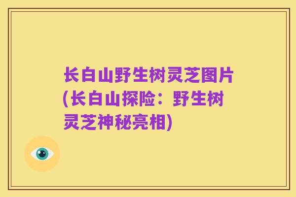 长白山野生树灵芝图片(长白山探险:野生树灵芝神秘亮相)