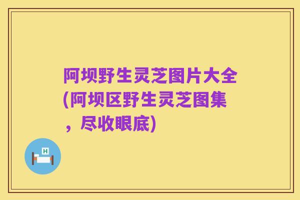 阿坝野生灵芝图片大全(阿坝区野生灵芝图集，尽收眼底)