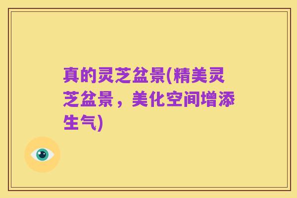 真的灵芝盆景(精美灵芝盆景，美化空间增添生气)