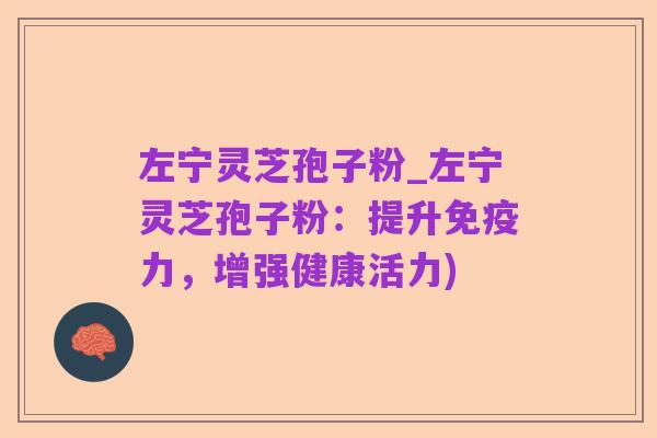 左宁灵芝孢子粉_左宁灵芝孢子粉:提升免疫力,增强健康活力)