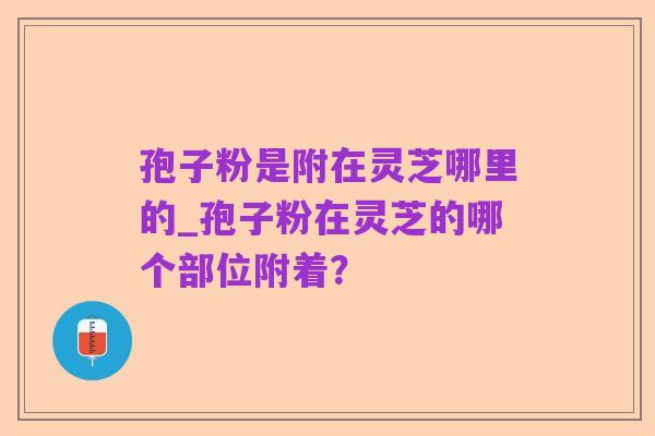 孢子粉是附在灵芝哪里的_孢子粉在灵芝的哪个部位附着?