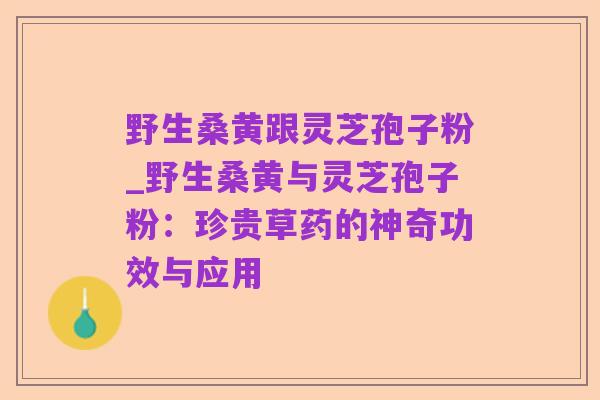 野生桑黄跟灵芝孢子粉_野生桑黄与灵芝孢子粉:珍贵草药的神奇功效与应用