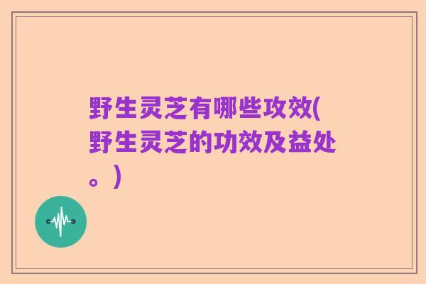 野生灵芝有哪些攻效(野生灵芝的功效及益处。)