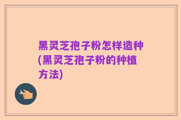 黑灵芝孢子粉怎样造种(黑灵芝孢子粉的种植方法)