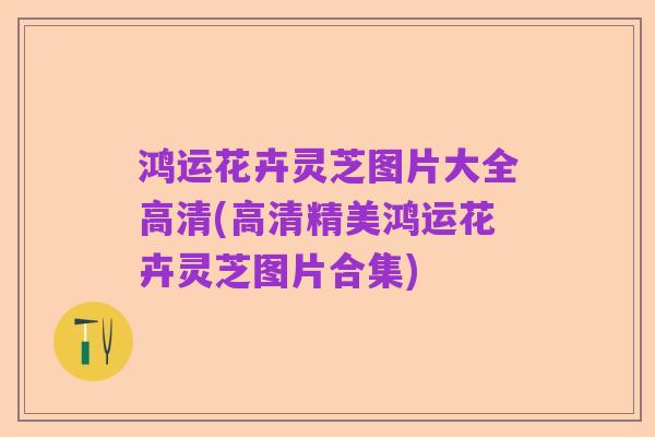 鸿运花卉灵芝图片大全高清(高清精美鸿运花卉灵芝图片合集)
