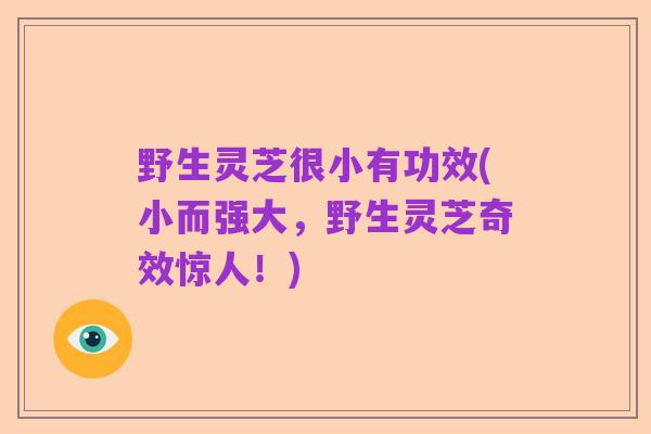 野生灵芝很小有功效(小而强大，野生灵芝奇效惊人！)