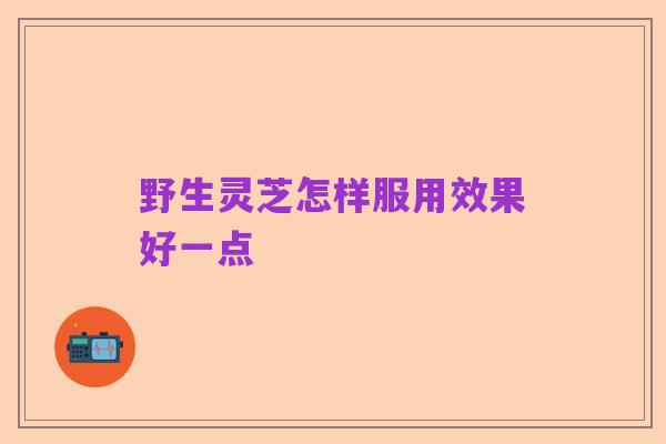 野生灵芝怎样服用效果好一点
