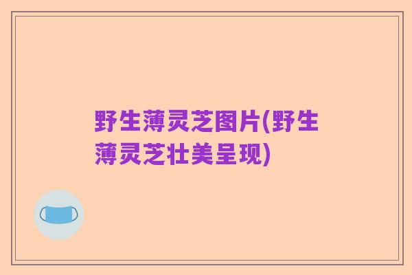 野生薄灵芝图片(野生薄灵芝壮美呈现)