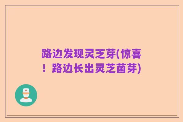 路边发现灵芝芽(惊喜!路边长出灵芝菌芽)
