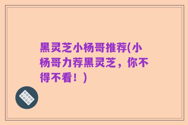 黑灵芝小杨哥推荐(小杨哥力荐黑灵芝，你不得不看！)