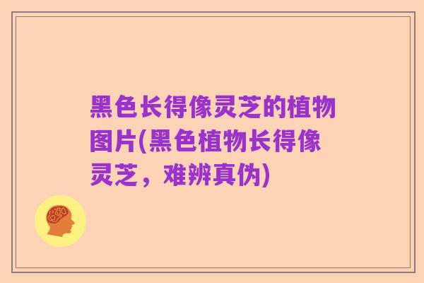 黑色长得像灵芝的植物图片(黑色植物长得像灵芝,难辨真伪)