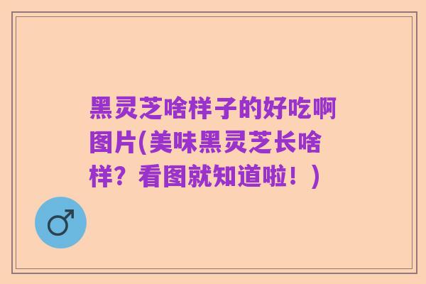 黑灵芝啥样子的好吃啊图片(美味黑灵芝长啥样？看图就知道啦！)