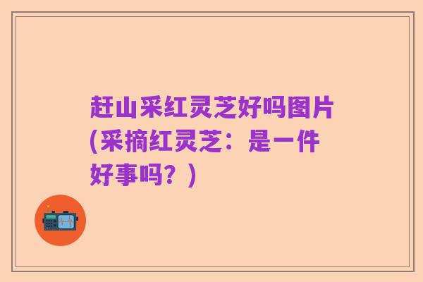 赶山采红灵芝好吗图片(采摘红灵芝:是一件好事吗?)