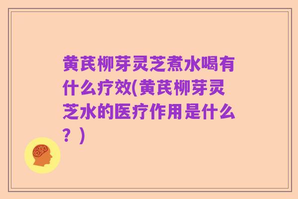 黄芪柳芽灵芝煮水喝有什么疗效(黄芪柳芽灵芝水的医疗作用是什么?)