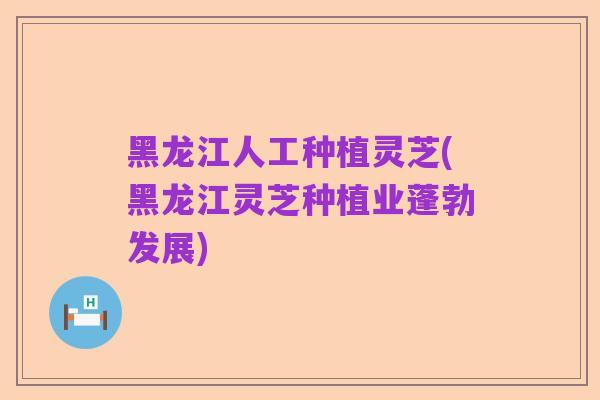 黑龙江人工种植灵芝(黑龙江灵芝种植业蓬勃发展)