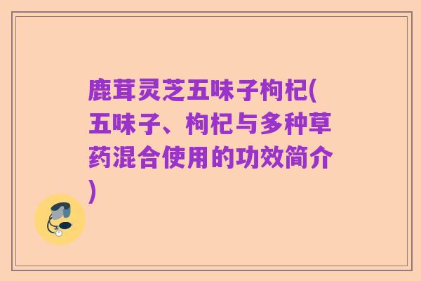 鹿茸灵芝五味子枸杞(五味子、枸杞与多种草药混合使用的功效简介)