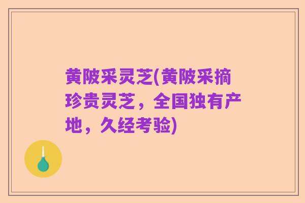黄陂采灵芝(黄陂采摘珍贵灵芝,全国独有产地,久经考验)