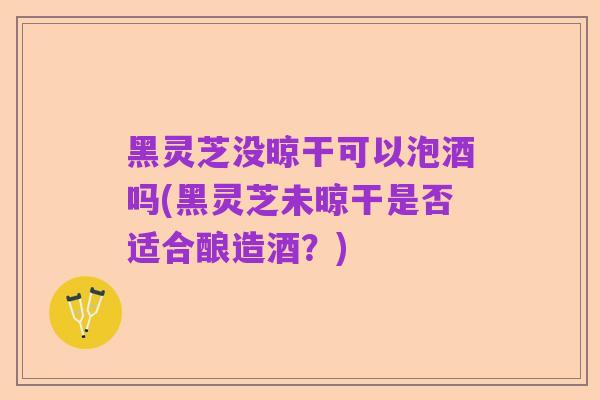 黑灵芝没晾干可以泡酒吗(黑灵芝未晾干是否适合酿造酒?)