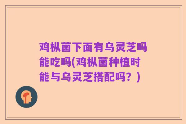 鸡枞菌下面有乌灵芝吗能吃吗(鸡枞菌种植时能与乌灵芝搭配吗?)
