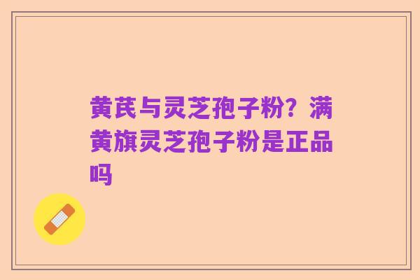 黄芪与灵芝孢子粉？满黄旗灵芝孢子粉是正品吗