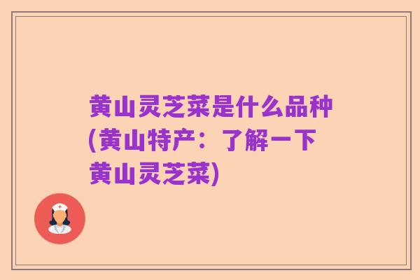 黄山灵芝菜是什么品种(黄山特产:了解一下黄山灵芝菜)
