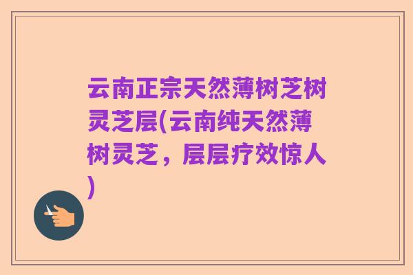 云南正宗天然薄树芝树灵芝层(云南纯天然薄树灵芝，层层疗效惊人)