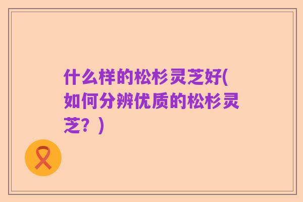 什么样的松杉灵芝好(如何分辨优质的松杉灵芝?)