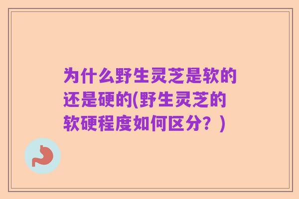 为什么野生灵芝是软的还是硬的(野生灵芝的软硬程度如何区分？)