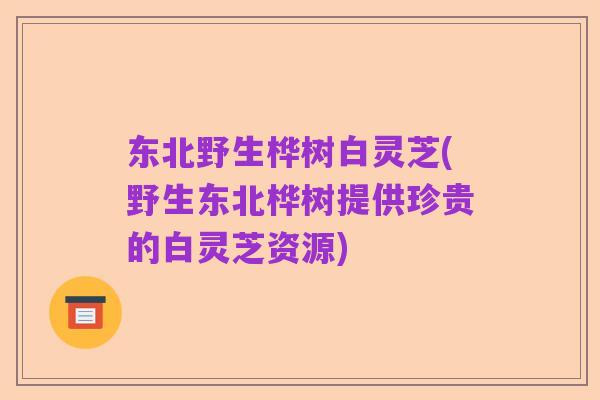 东北野生桦树白灵芝(野生东北桦树提供珍贵的白灵芝资源)