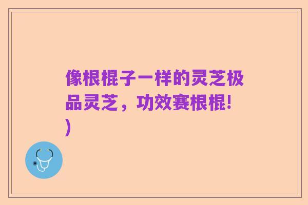像根棍子一样的灵芝极品灵芝,功效赛根棍!)