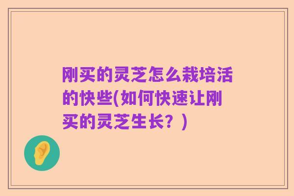 刚买的灵芝怎么栽培活的快些(如何快速让刚买的灵芝生长?)