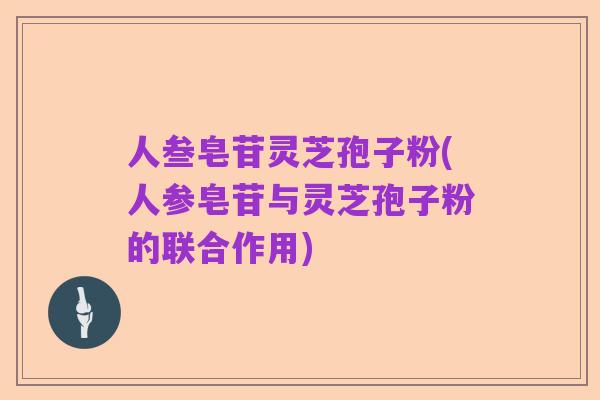 人叁皂苷灵芝孢子粉(人参皂苷与灵芝孢子粉的联合作用)