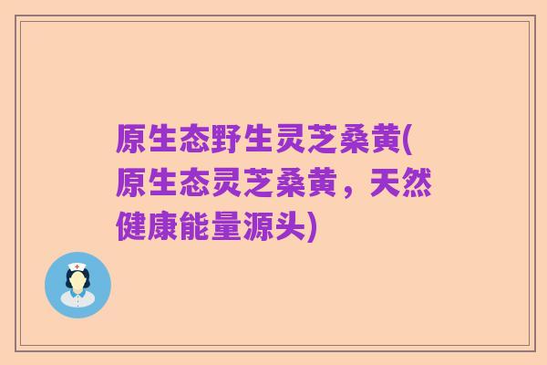原生态野生灵芝桑黄(原生态灵芝桑黄，天然健康能量源头)
