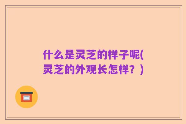 什么是灵芝的样子呢(灵芝的外观长怎样?)