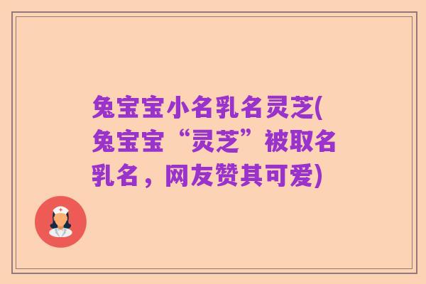 兔宝宝小名乳名灵芝(兔宝宝“灵芝”被取名乳名，网友赞其可爱)