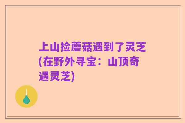 上山捡蘑菇遇到了灵芝(在野外寻宝:山顶奇遇灵芝)