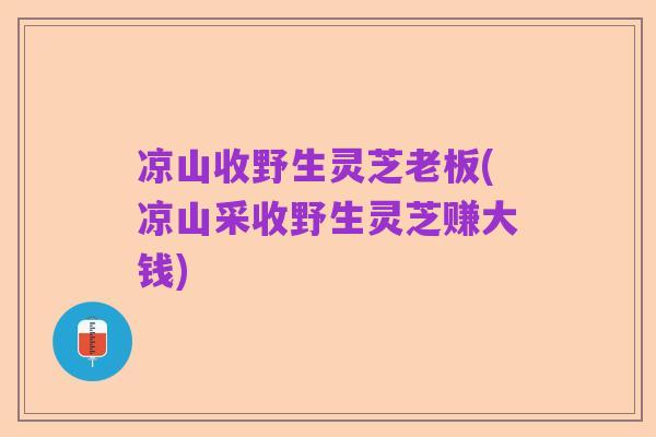 凉山收野生灵芝老板(凉山采收野生灵芝赚大钱)