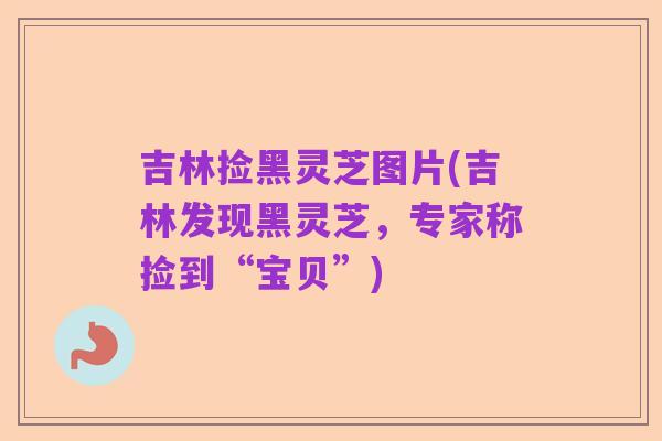 吉林捡黑灵芝图片(吉林发现黑灵芝，专家称捡到“宝贝”)