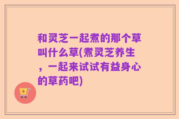 和灵芝一起煮的那个草叫什么草(煮灵芝养生,一起来试试有益身心的草药吧)