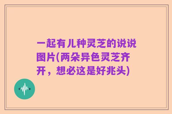 一起有儿种灵芝的说说图片(两朵异色灵芝齐开，想必这是好兆头)