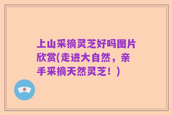 上山采摘灵芝好吗图片欣赏(走进大自然,亲手采摘天然灵芝!)