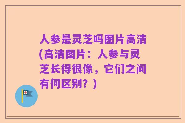 人参是灵芝吗图片高清(高清图片：人参与灵芝长得很像，它们之间有何区别？)